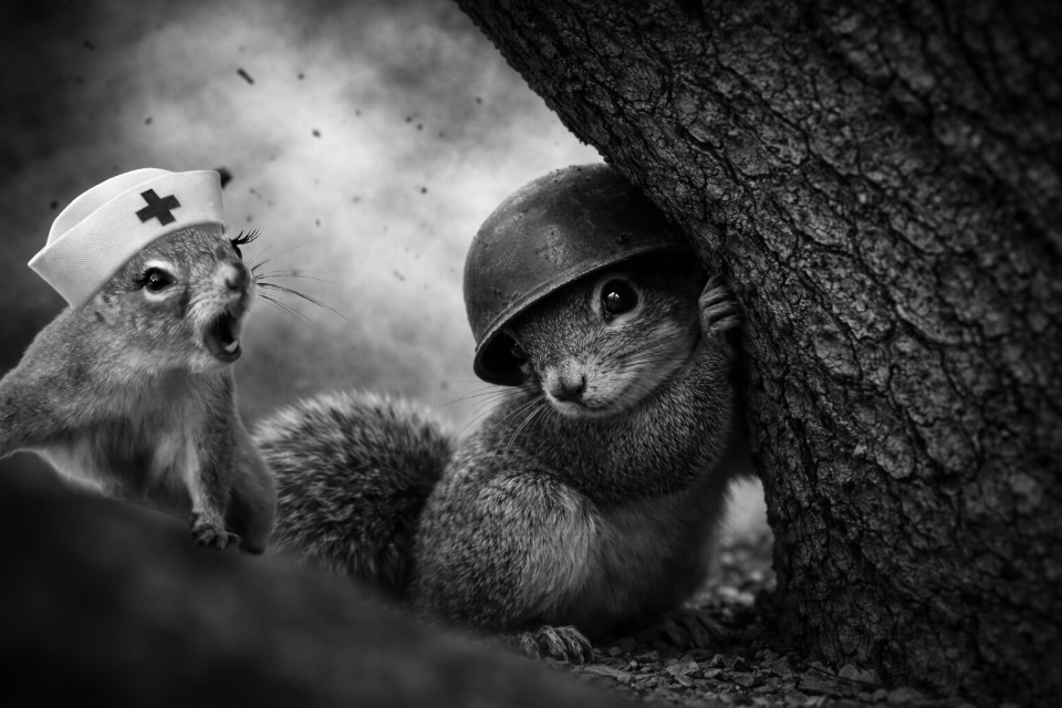 Take Cover!