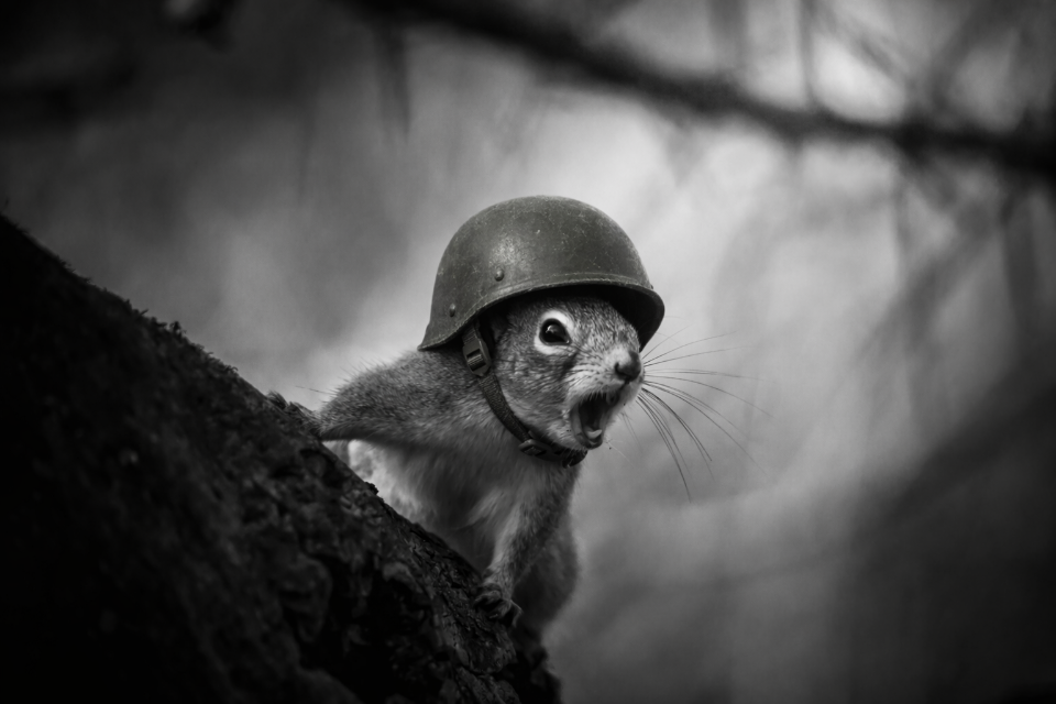 Fire in the Hole!
