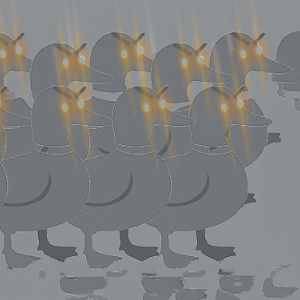 These are not the ducks
