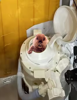 Allow me to explain...