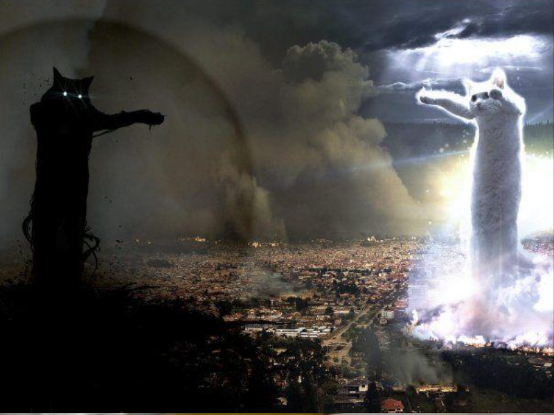LONGCAT VS. TACGNOL